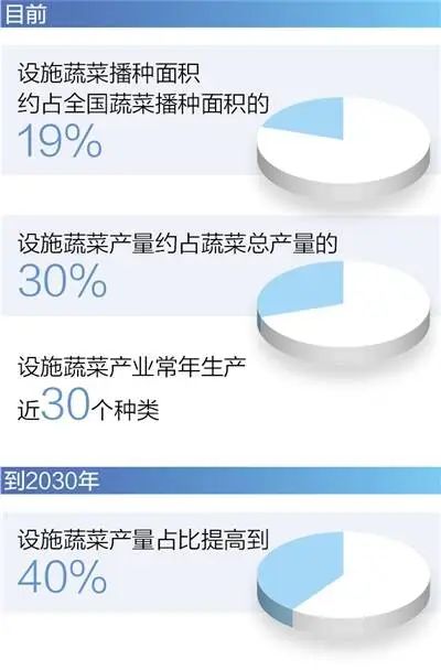 植物工厂有了“智慧大脑”——山东青岛发展智慧设施农业蕴含巨大生产力